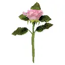 61L7awxaB5L.webp