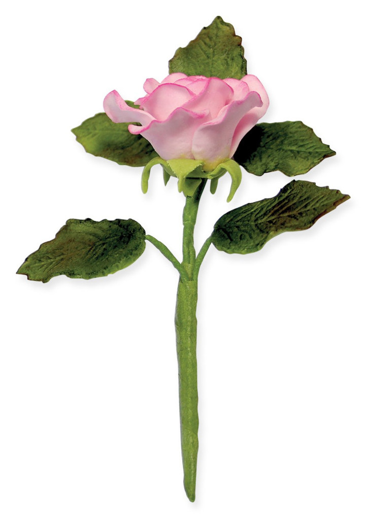 a54da48ee617a5474827619d1b319eb0.jpg
