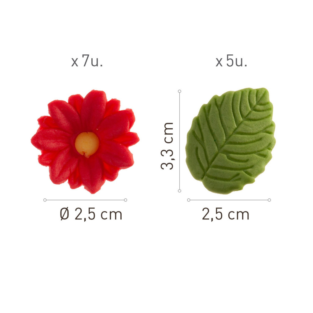 22624.jpg