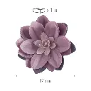 126175-WATER LILY OBLEA COLOR LILA 14CM_2.webp