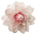 Dalia gigante de oblea color rosa DEKORA