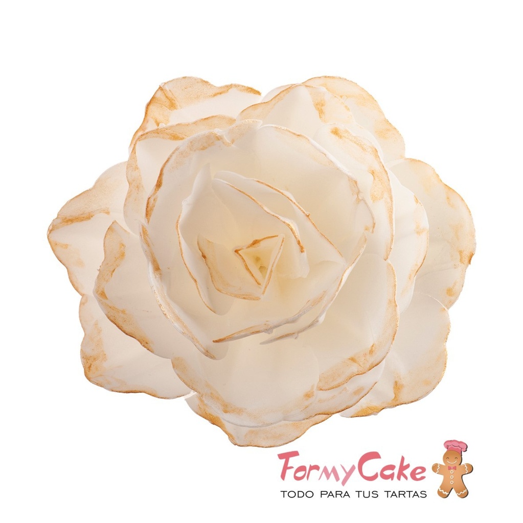 Rosa de oblea blanca borde dorado DEKORA