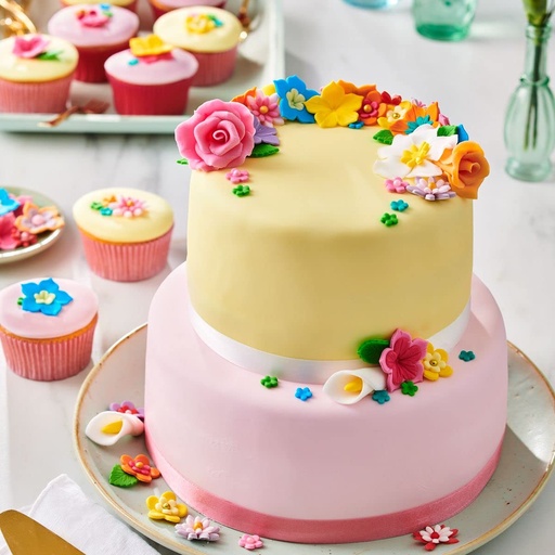 [F20445] Fondant Marshmallow 1Kg Funcakes