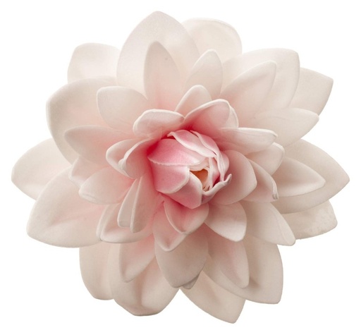 [126142] Dalia gigante de oblea color rosa DEKORA
