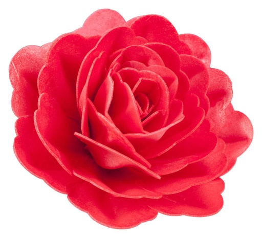 [126141] Rosa gigante de oblea color rojo DEKORA