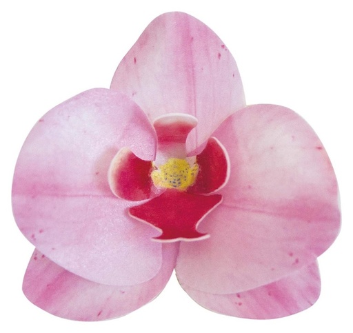 [126066] Orquideas de oblea color rosa 10uds DEKORA