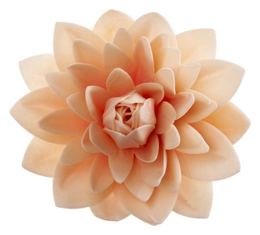 [126172] Dalia gigante de oblea color pastel DEKORA