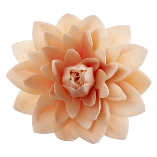 [126172] Dalia gigante de oblea color pastel DEKORA