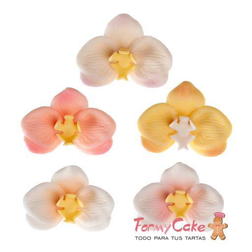 [210131] Set 6 orquídeas de azúcar 8 cm - colores surtidos - marca DEKORA