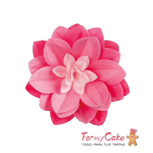 [126176] Water lily de oblea color rosa DEKORA