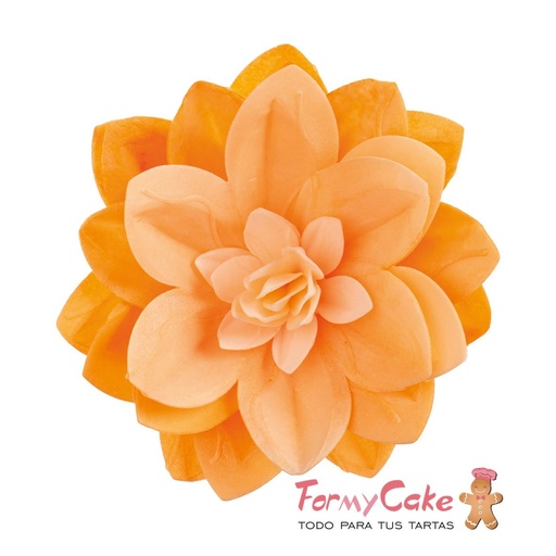 [126177] Water lily de oblea color naranja DEKORA